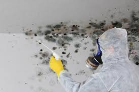 Best Mold Remediation for Vacation Homes  in Endwell, NY